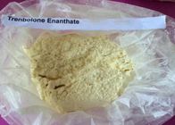 Yellow Powder Trenbolone Enanthate , CAS 472-61-546 Steroids For Cutting Cycle