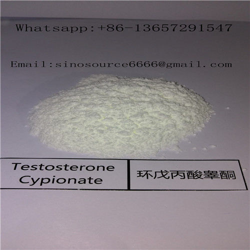 White Powder Testosterone Anabolic Steroid , Testosterone Cypionate For Muscle Building