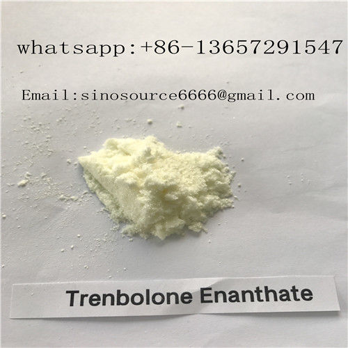 Yellow Powder Trenbolone Enanthate , CAS 472-61-546 Steroids For Cutting Cycle